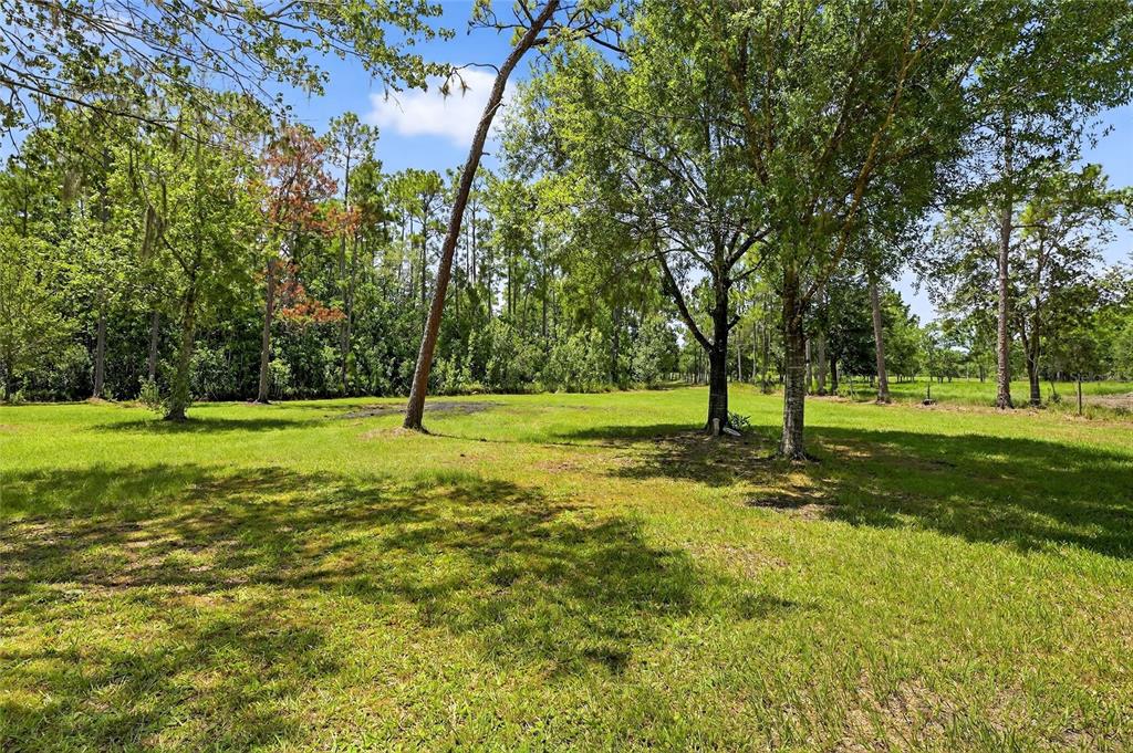 6250 Green Pond Road Polk City, FL 33868 - Photo 64 of 96