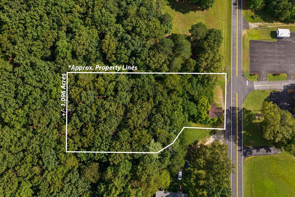 0 Hwy 95 Rock Spring Rock Spring, GA 30739 - Photo 4 of 14 Gallery Image 4