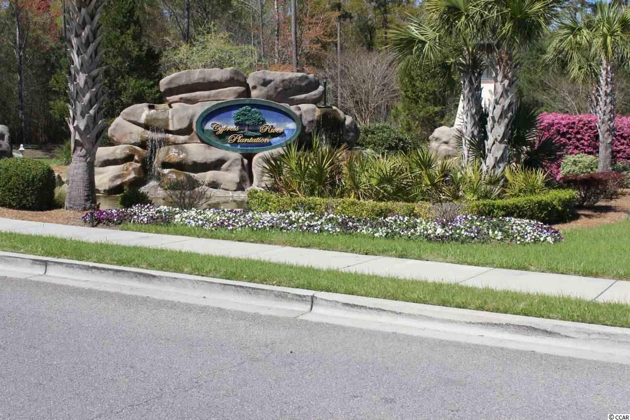 Lot 209 Chamberlin Road Myrtle Beach, SC 29588 - Photo 2 of 8 Gallery Image 2