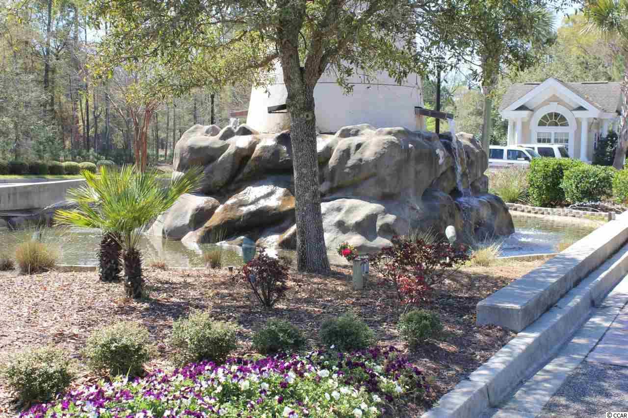 Lot 209 Chamberlin Road Myrtle Beach, SC 29588 - Photo 4 of 8 Gallery Image 4