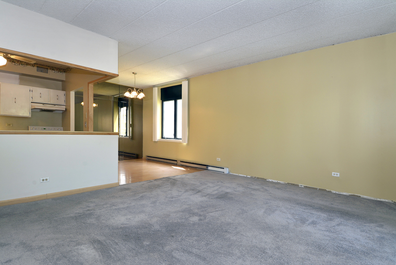 9701 Dee Road, Unit 1M Niles, IL 60714 - Photo 6 of 18
