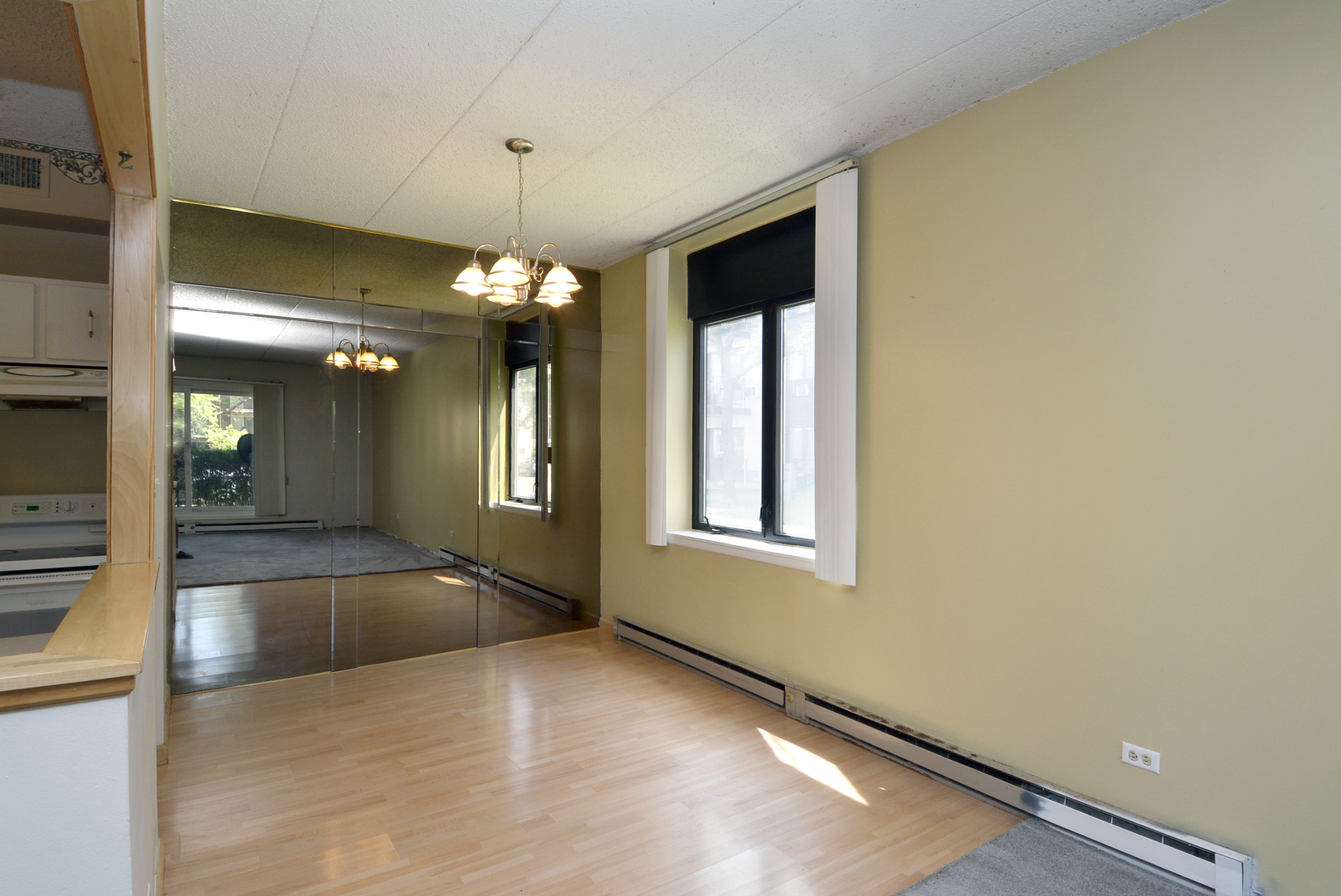 9701 Dee Road, Unit 1M Niles, IL 60714 - Photo 7 of 18