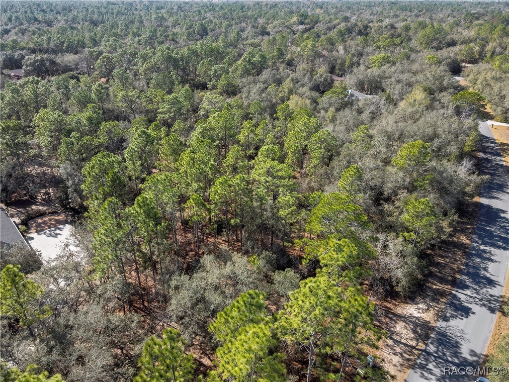 3905 North Longvalley Road Hernando, FL 34442 - Photo 12 of 12