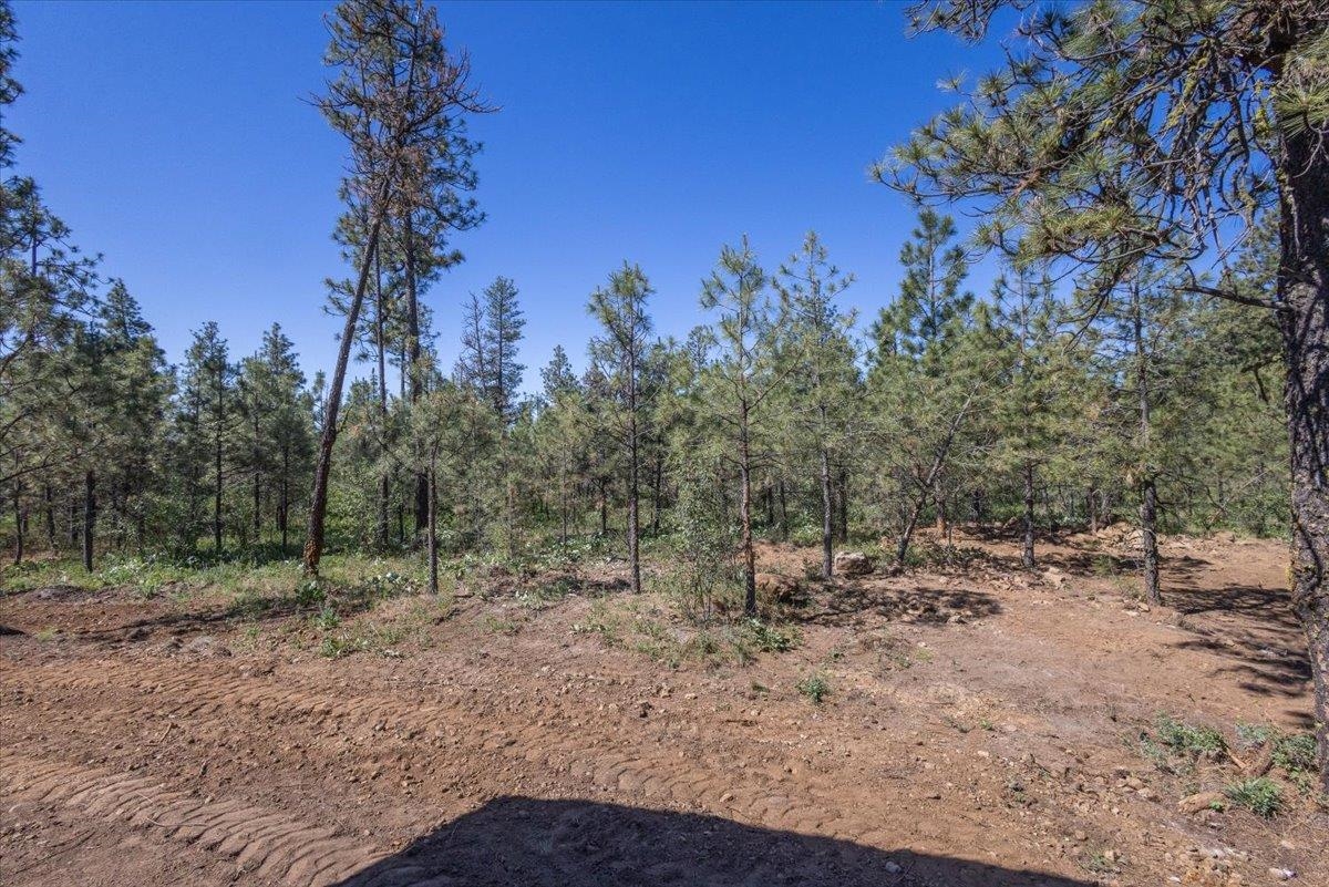 22711 South Gateway Lane Cheney, WA 99004 - Photo 35 of 50