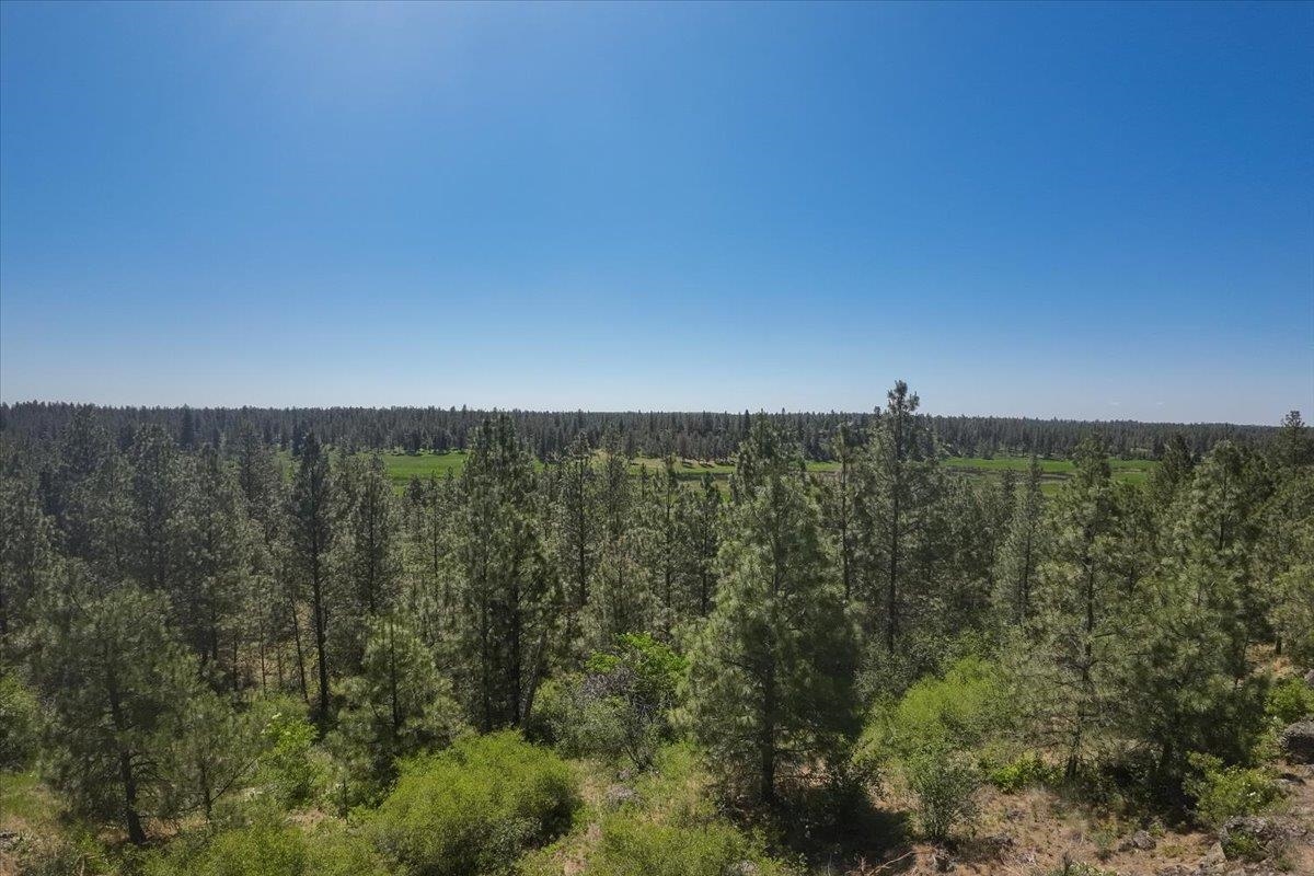 22711 South Gateway Lane Cheney, WA 99004 - Photo 47 of 50