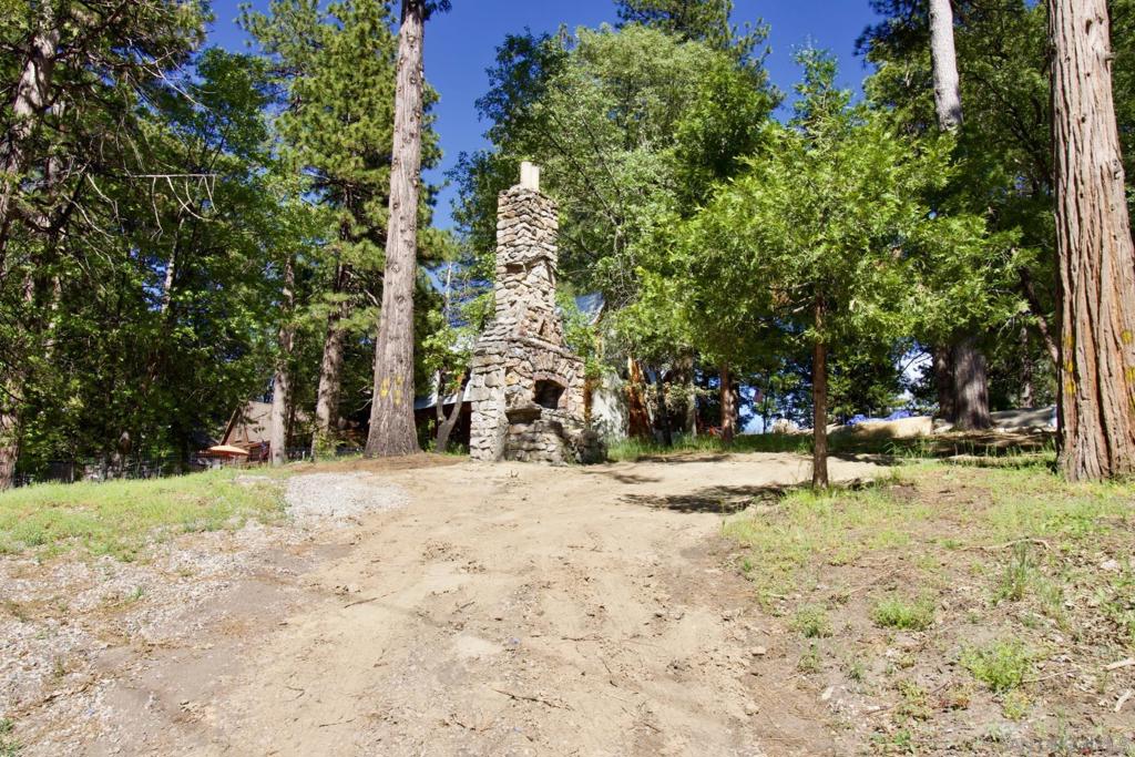 a view of a yard with plants and trees