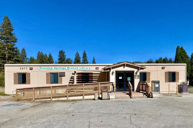 a view of a yard with plants