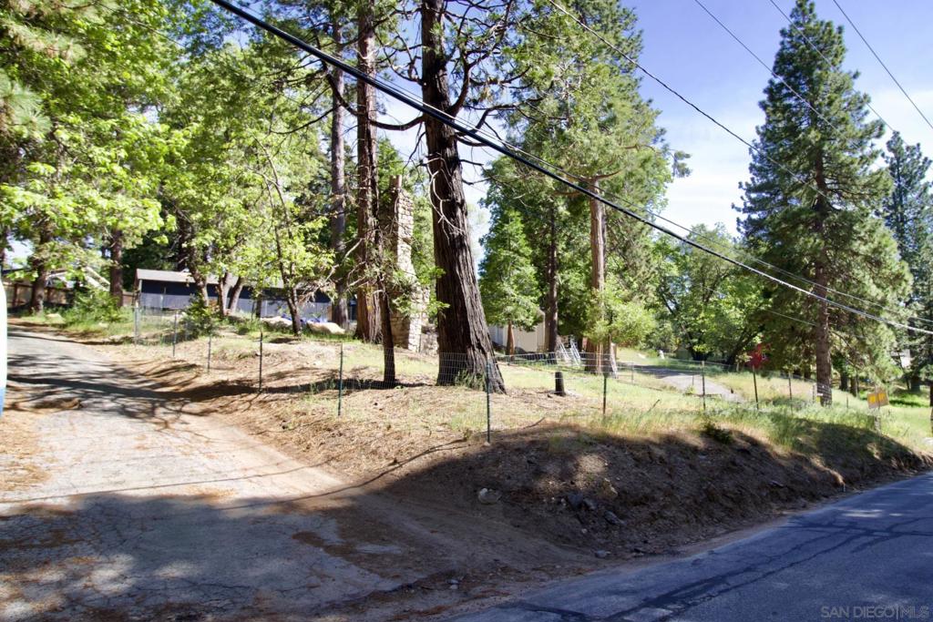 32065 Hunsaker Way Running Springs, CA 92382 - Photo 3 of 39 a view of a yard with a tree