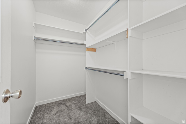 5525 Hampton Way Stansbury Park, UT 84074 - Photo 20 of 35 Walk-in closet featuring white built-in shelving, multiple hanging rods, and gray textured carpeting