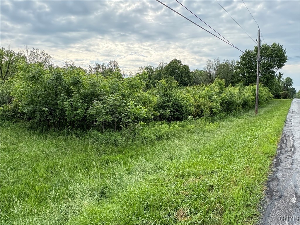 Eddy Road Chittenango, NY 13037 - Photo 2 of 4