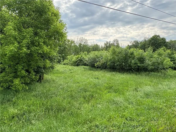 $29,999 | Eddy Road, Sullivan, NY 13037