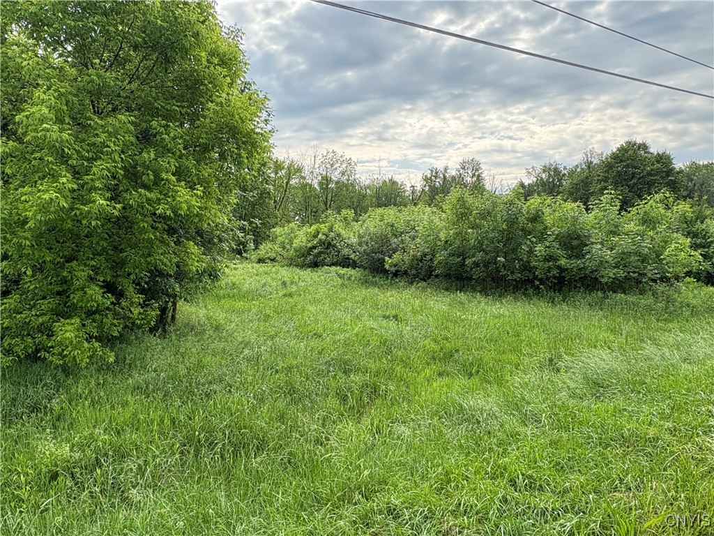 Eddy Road Chittenango, NY 13037 - Photo 3 of 4