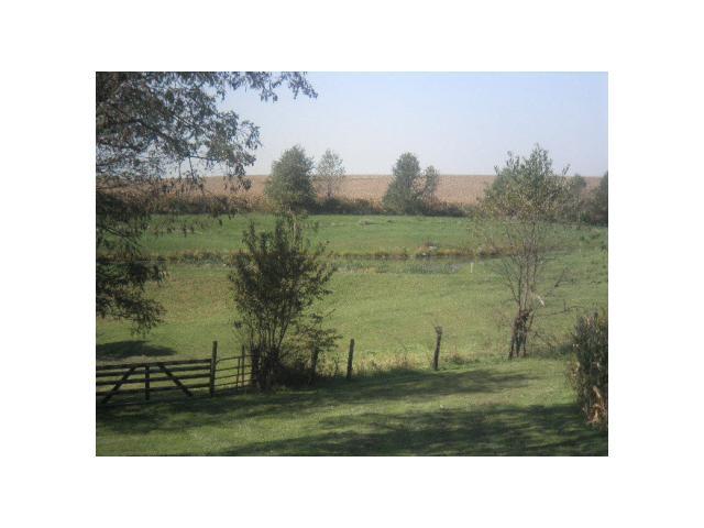 4003 County Road Somerset, OH 43783 - Photo 4 of 14