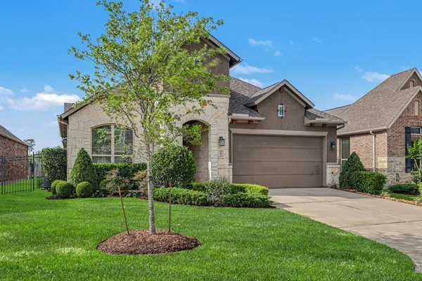 a house with a tree and a yard