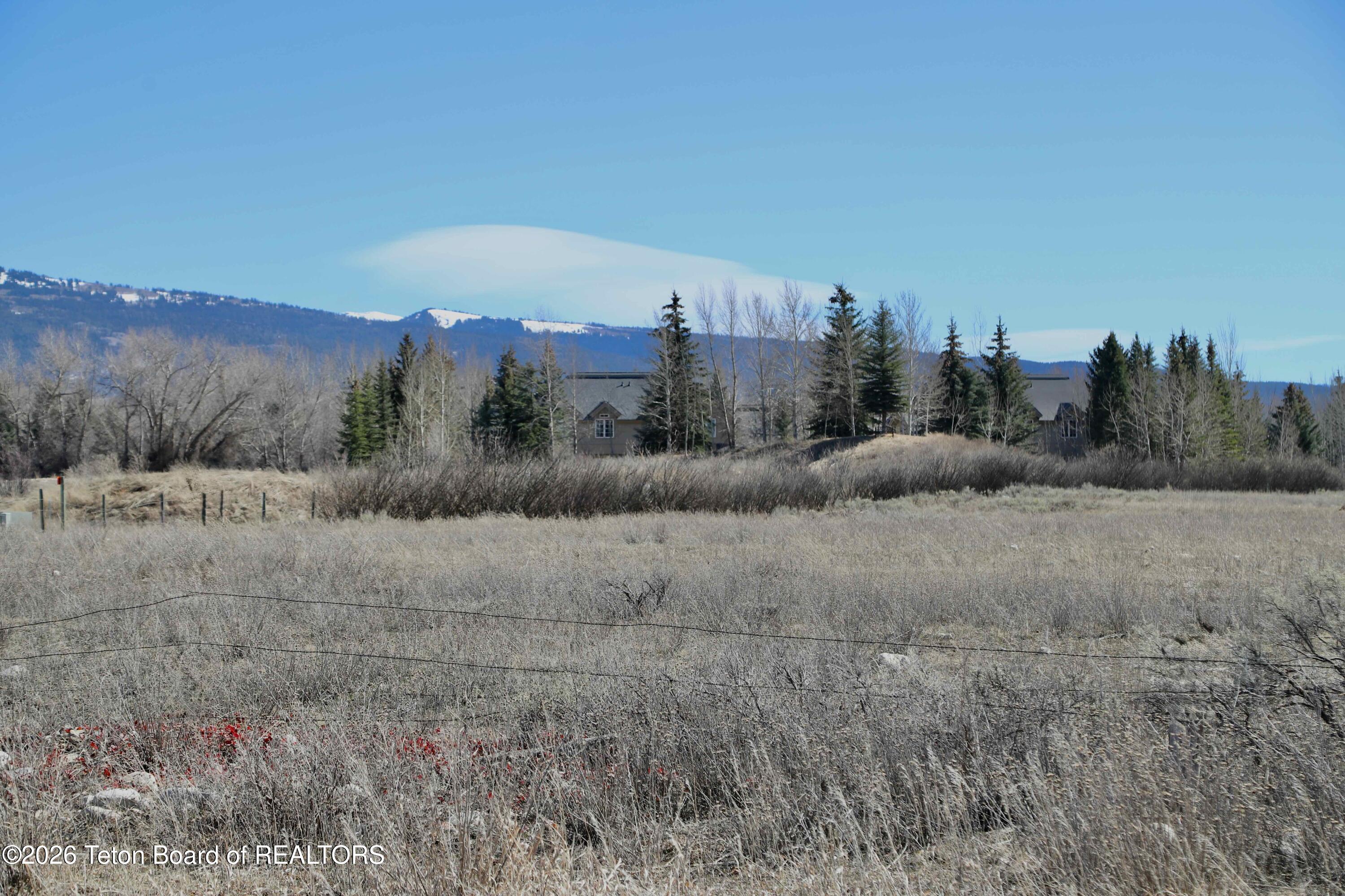 1014 Dusty Trail Driggs, ID 83422 - Photo 11 of 18 Moss Calico-7548