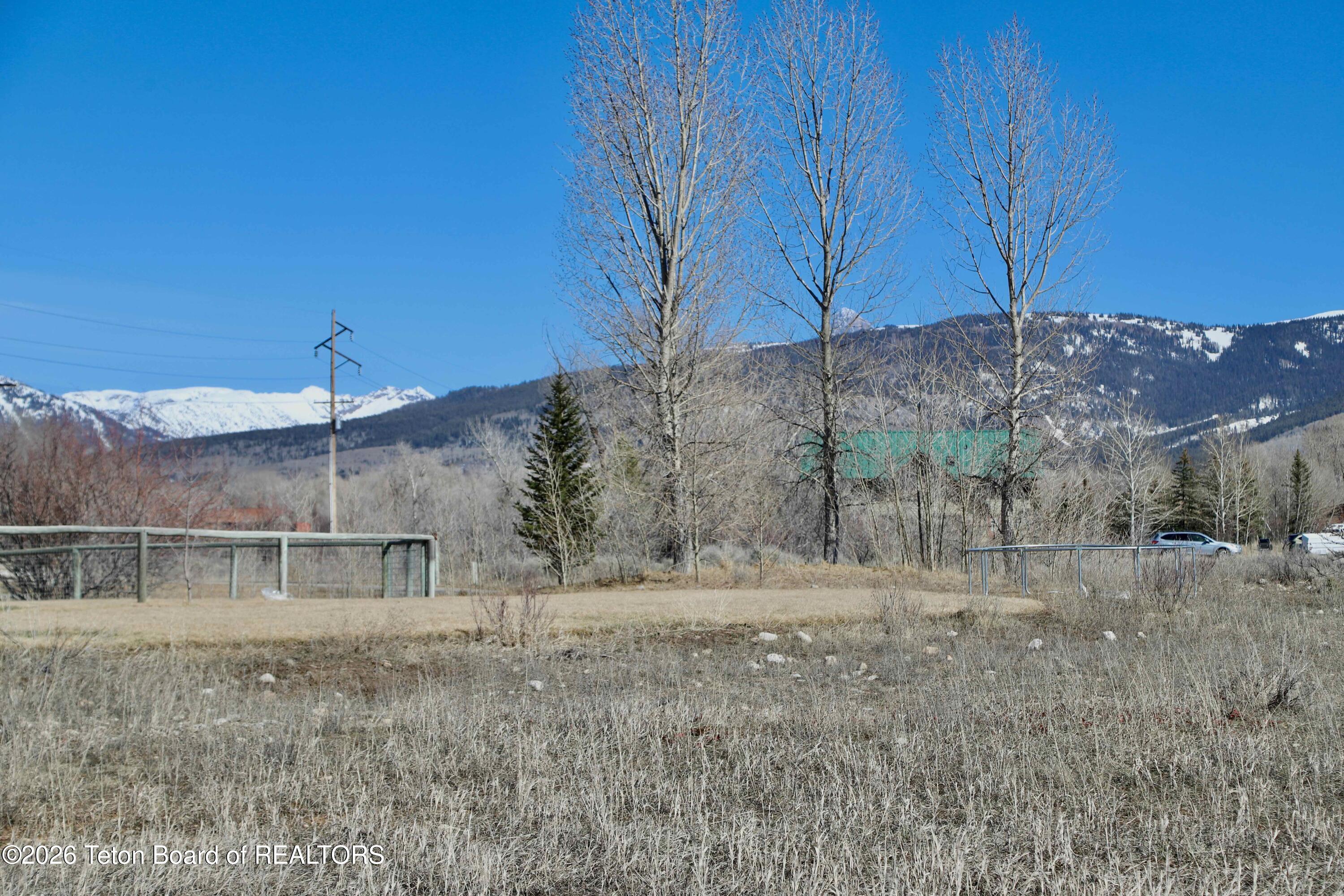 1014 Dusty Trail Driggs, ID 83422 - Photo 7 of 18 Moss Calico-7544