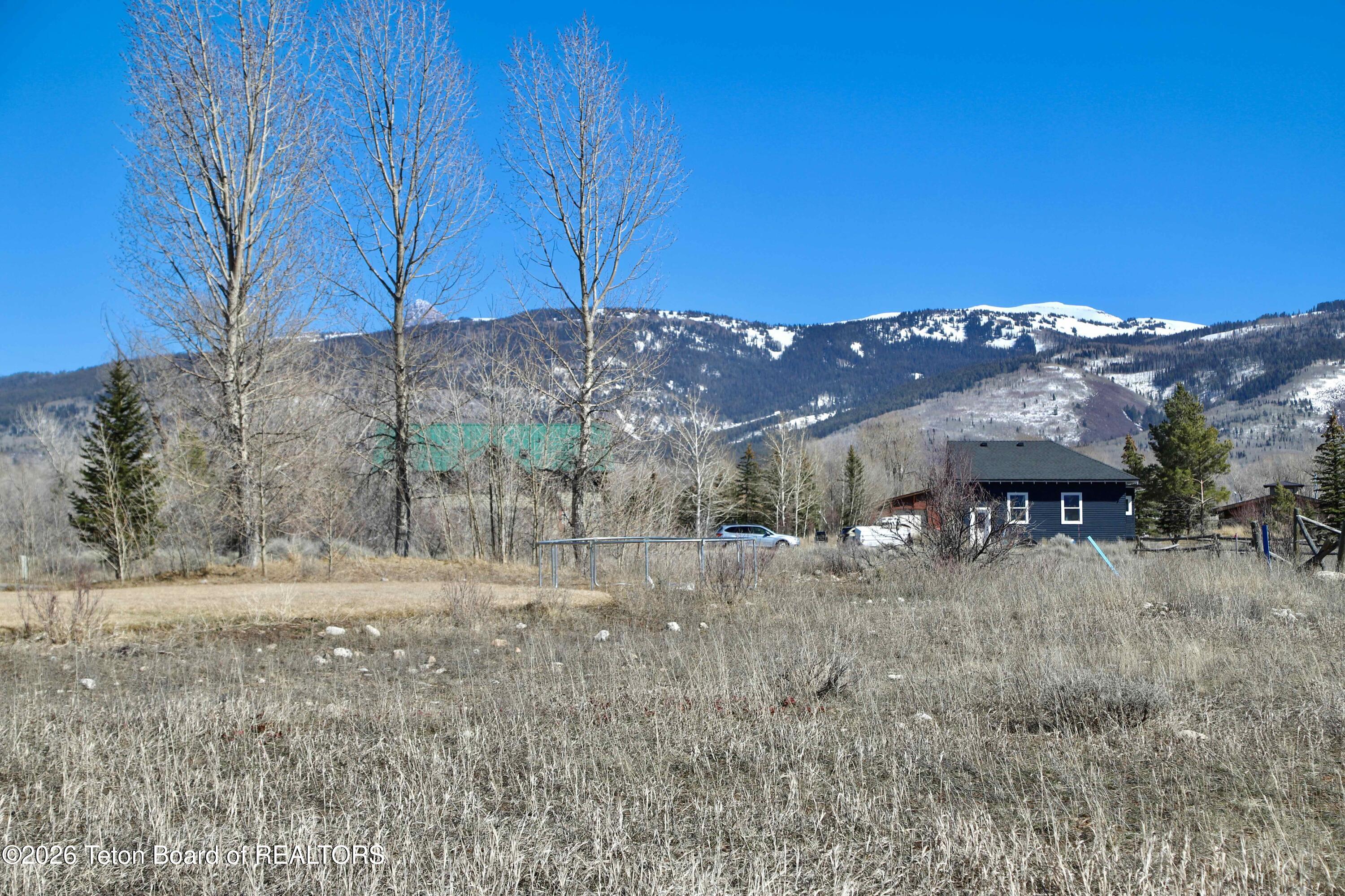 1014 Dusty Trail Driggs, ID 83422 - Photo 8 of 18 Moss Calico-7545
