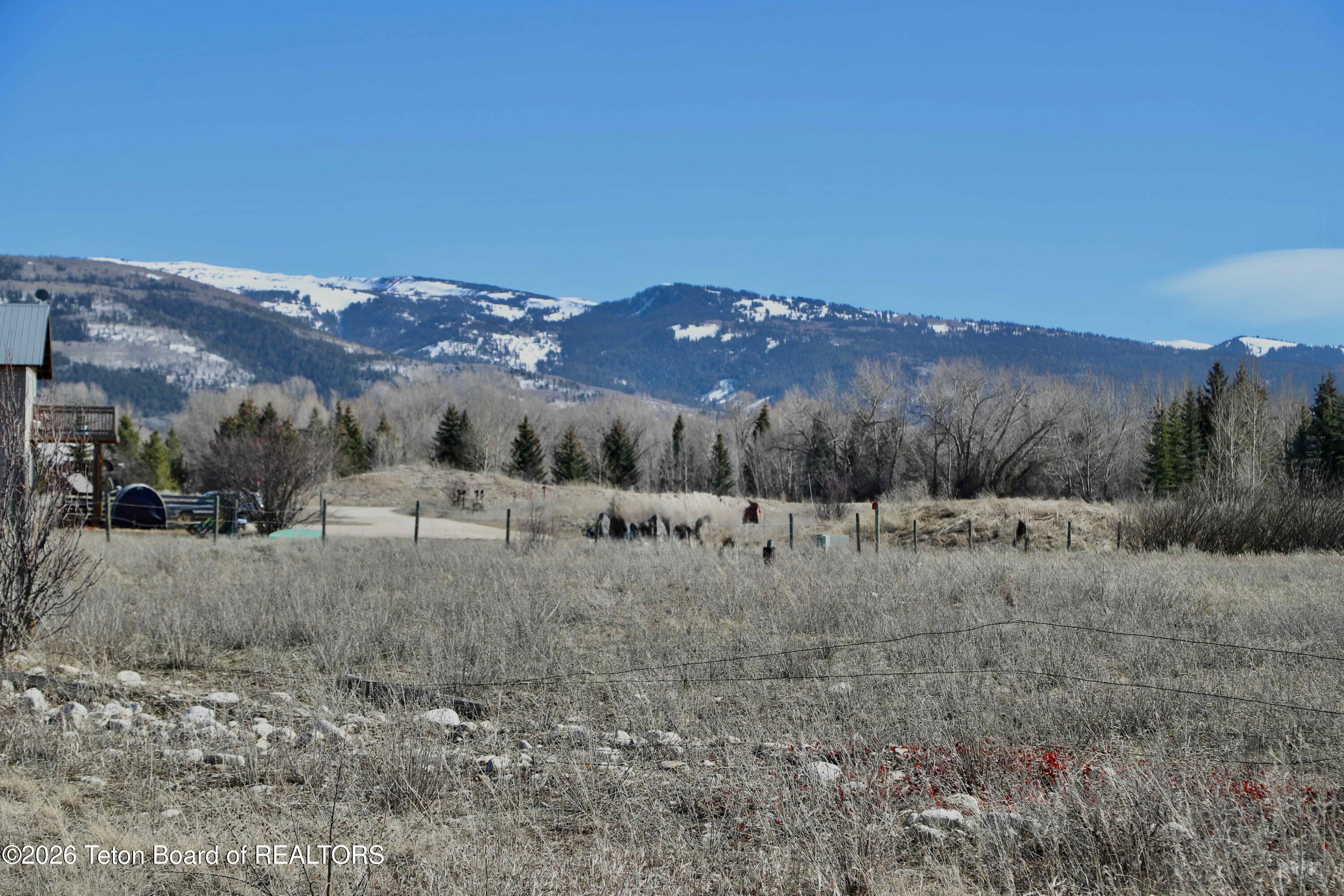 1014 Dusty Trail Driggs, ID 83422 - Photo 10 of 18 Moss Calico-7547