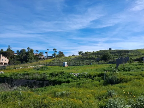 a view of a grassy field with trees