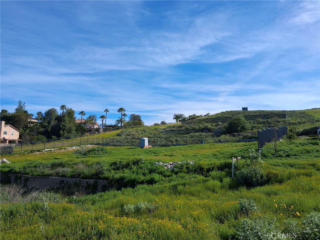 0 Rd Runner Ridge Riverside, CA 92503 - Photo 1 of 3 a view of a grassy field with trees