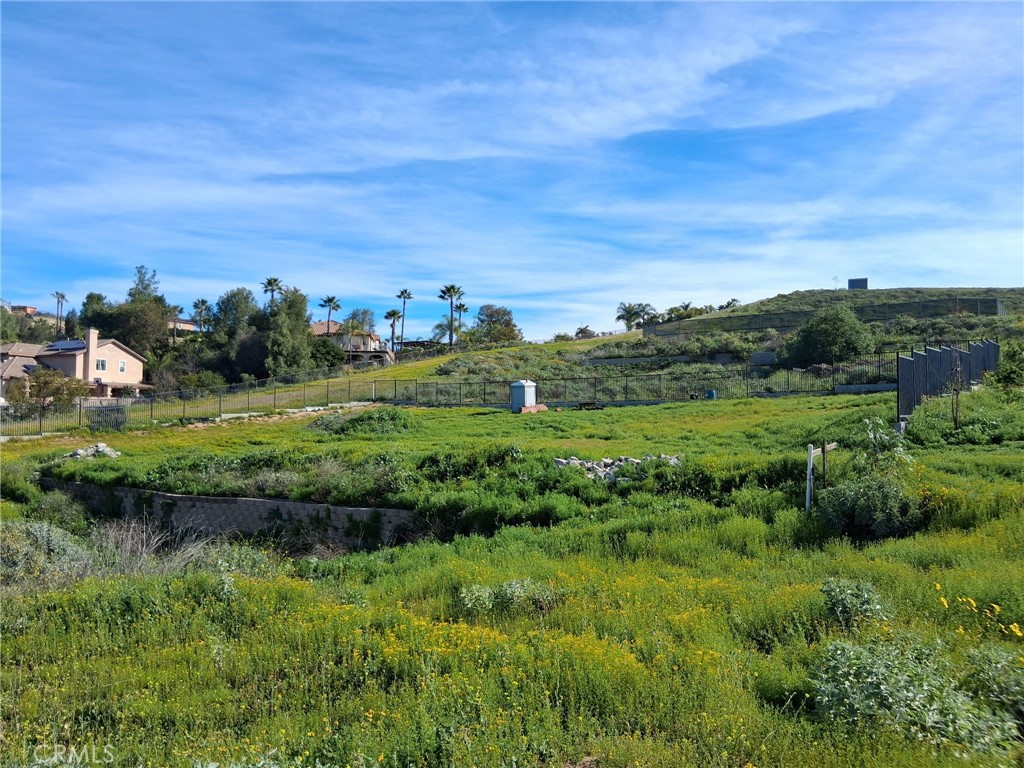 0 Rd Runner Ridge Riverside, CA 92503 - Photo 3 of 3 a view of a lush green outdoor space with a lake view