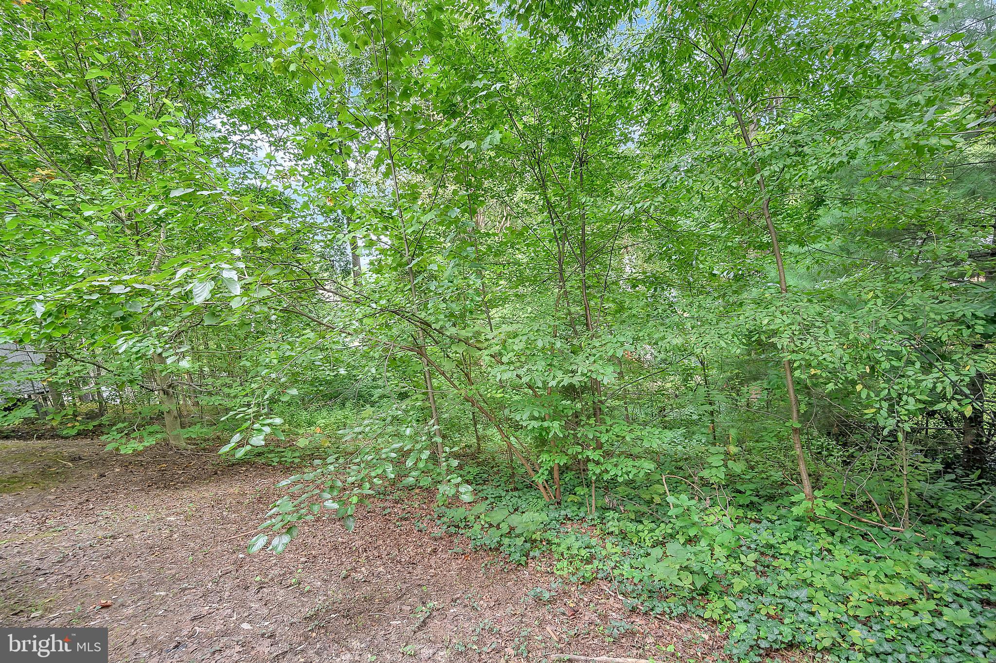 30 Hickory Ridge Drive Fredericksburg, VA 22405 - Photo 42 of 49
