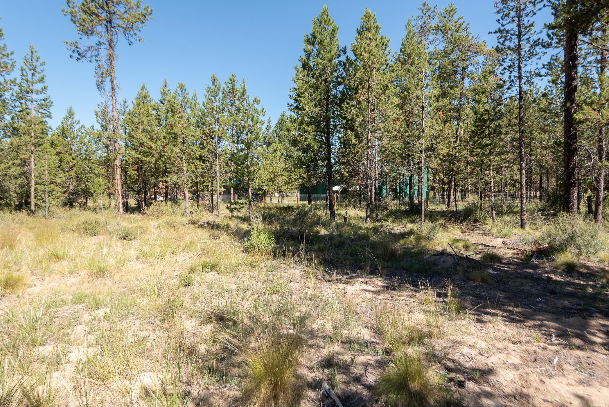 55105 Tamarack Road Bend, OR 97707 - Photo 14 of 19 Tamarack_Breanne-11