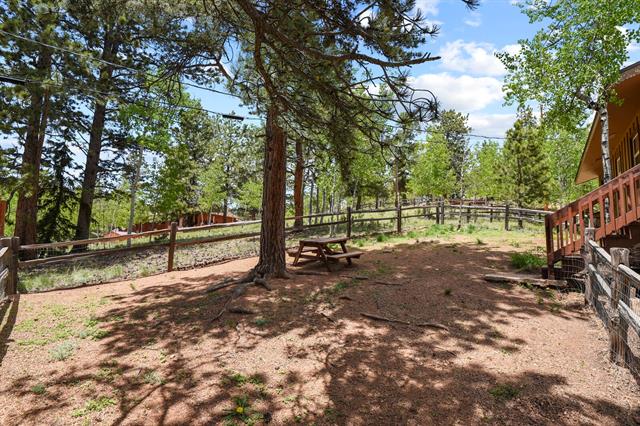286 Ridge Road Divide, CO 80814 - Photo 39 of 42