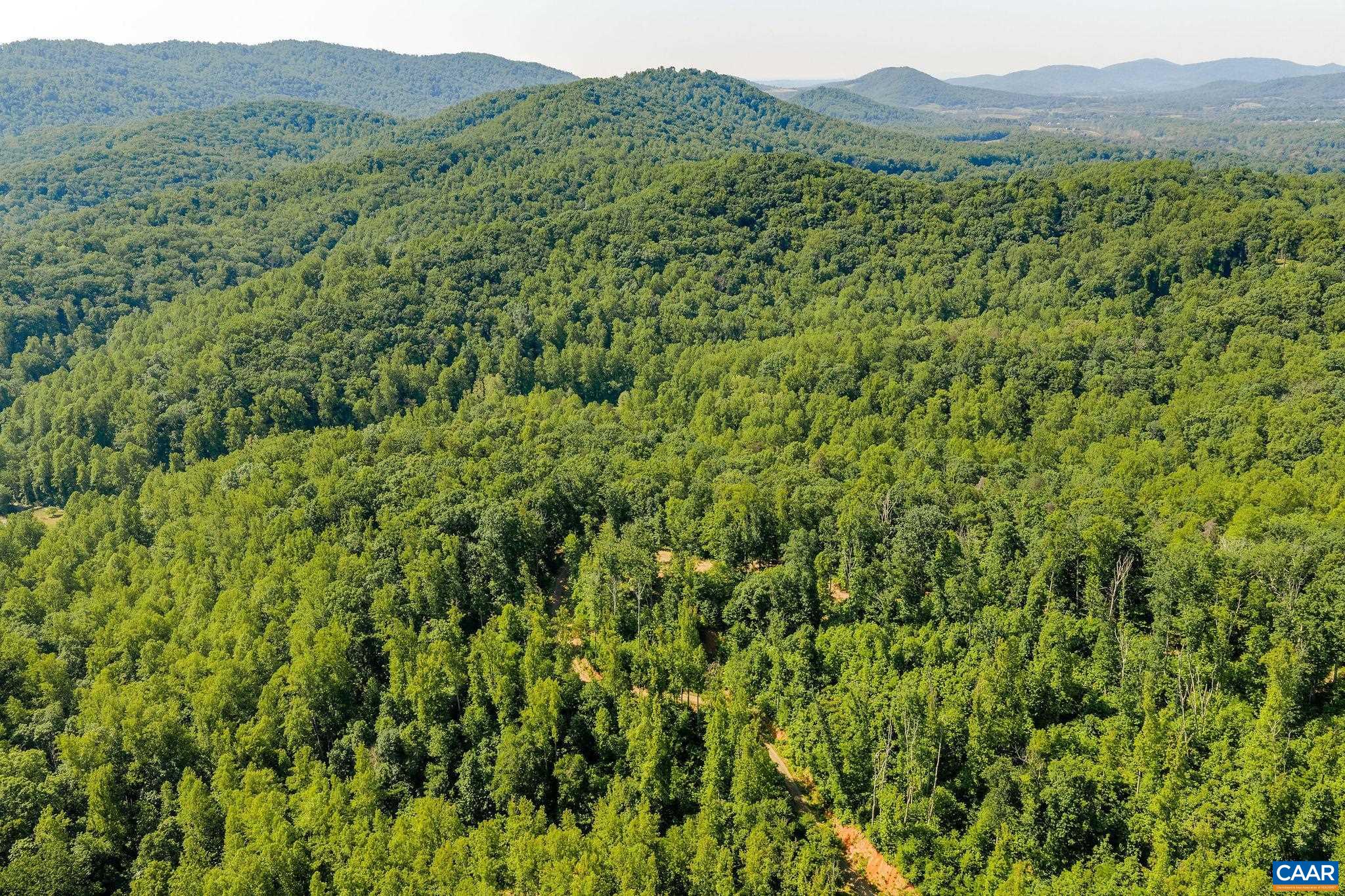 Tbd Poorhouse Road Charlottesville, VA 22903 - Photo 12 of 28 a view of a lush green forest with lush green forest