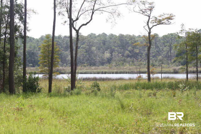 13315 Young Lane Foley, AL 36535 - Photo 5 of 7