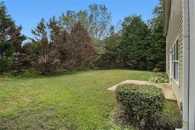 a view of yard with green space