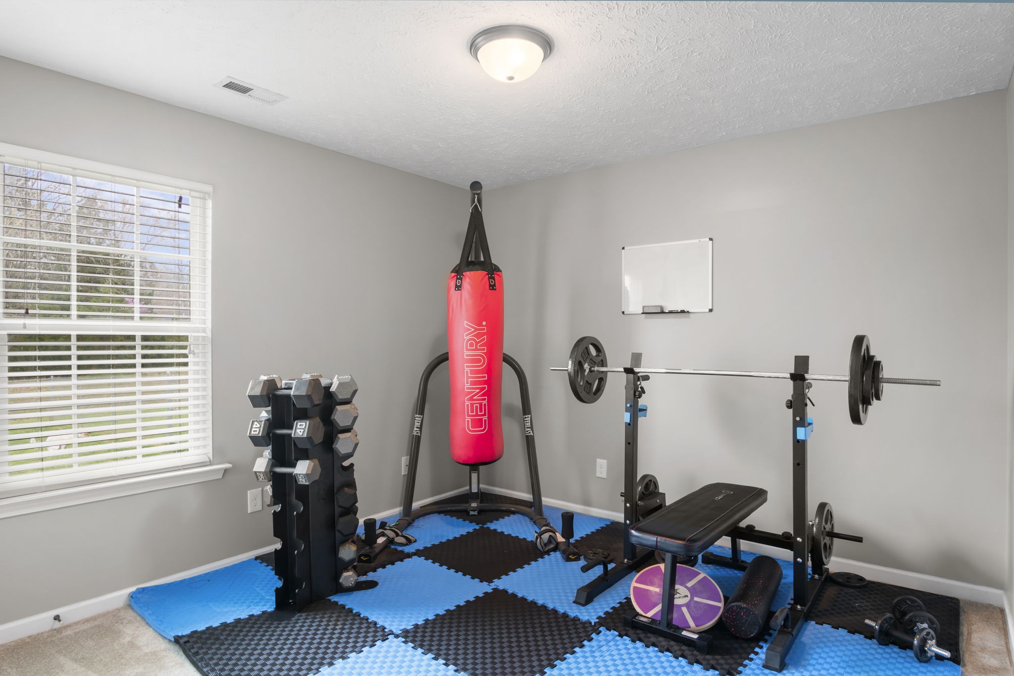 3306 Barretts Ridge Drive Murfreesboro, TN 37130 - Photo 19 of 24 a room with gym equipment and a window