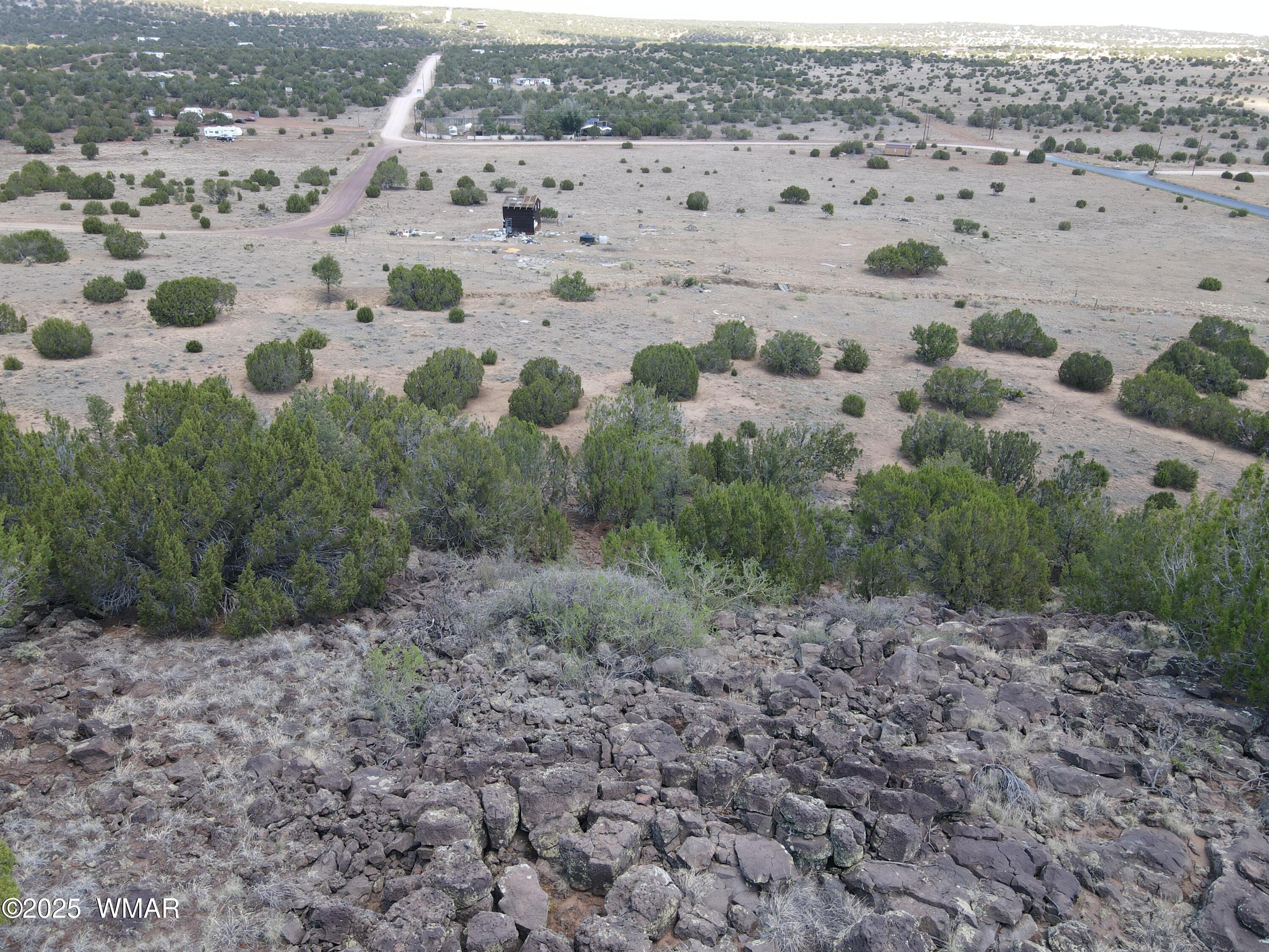 5 County Road Concho, AZ 85924 - Photo 11 of 15 a view of a dry yard with trees