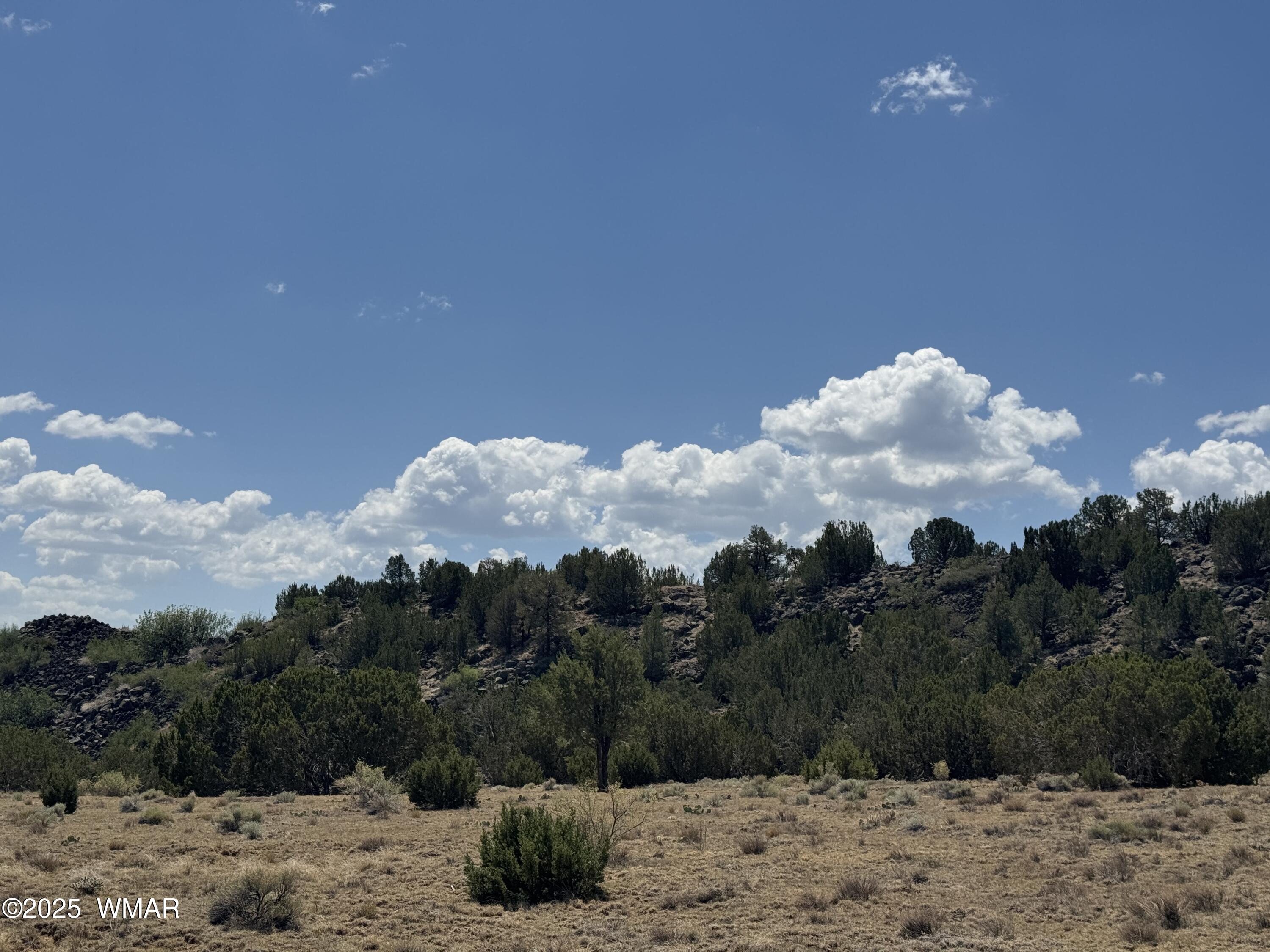 5 County Road Concho, AZ 85924 - Photo 13 of 15 a view of a dry yard