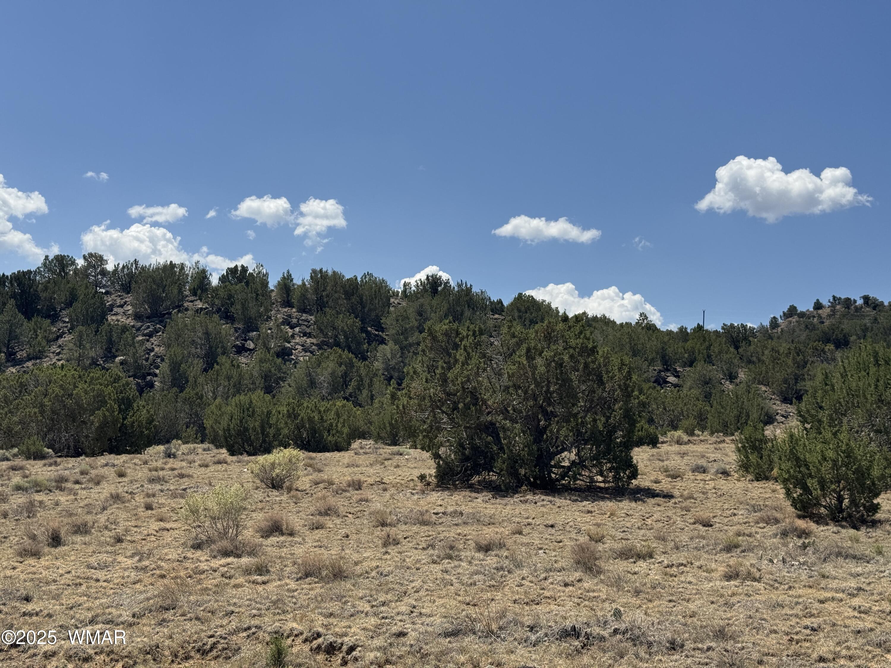 5 County Road Concho, AZ 85924 - Photo 14 of 15 a view of a dry yard