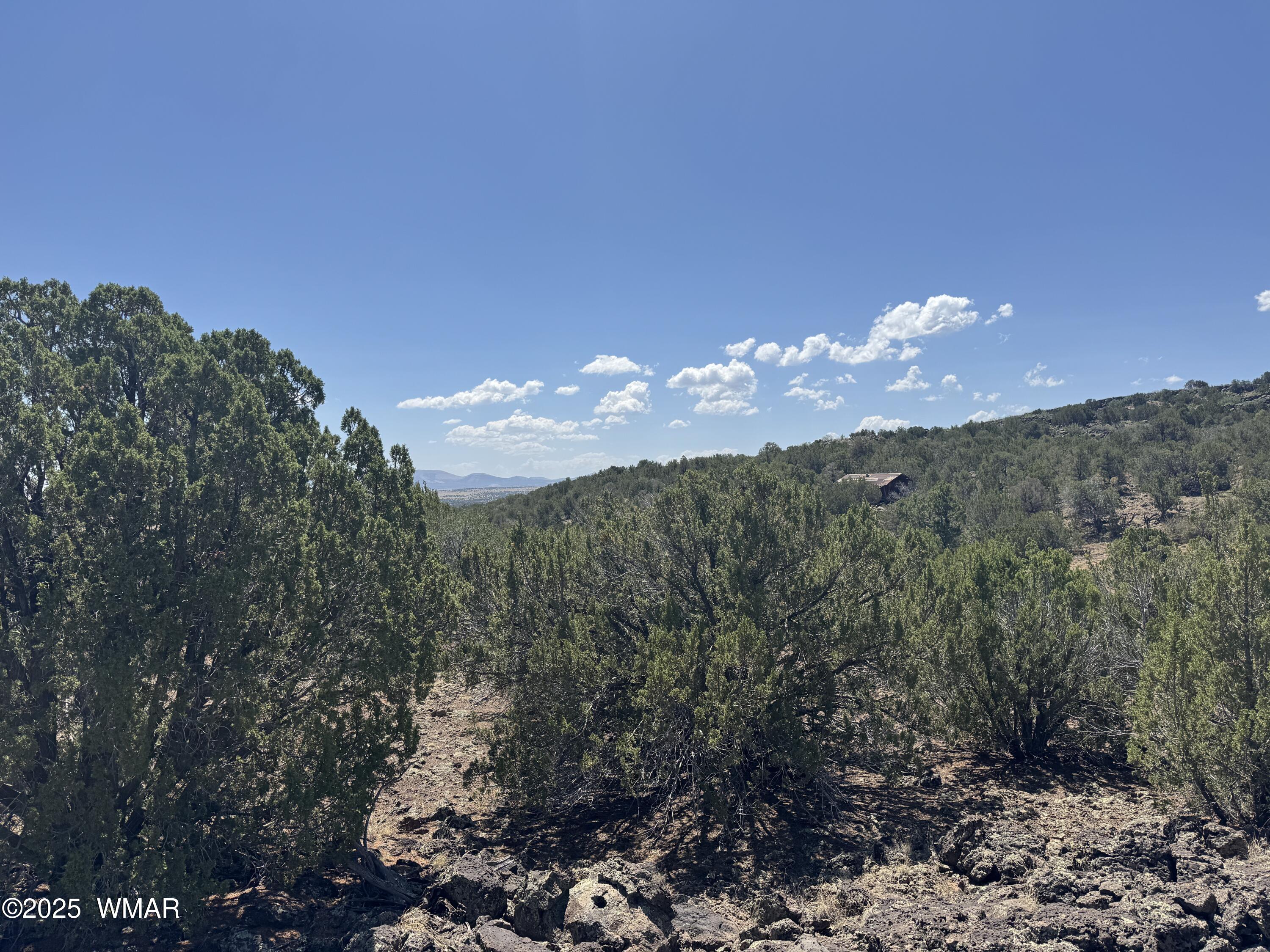 5 County Road Concho, AZ 85924 - Photo 15 of 15 a view of a big yard
