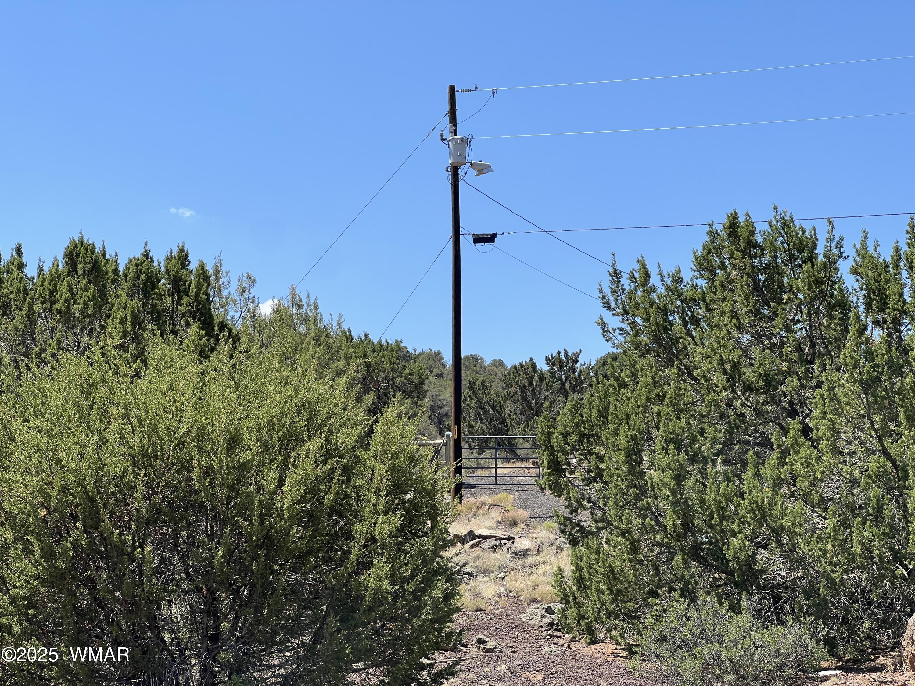 5 County Road Concho, AZ 85924 - Photo 4 of 15 a view of a road with a tree in the background