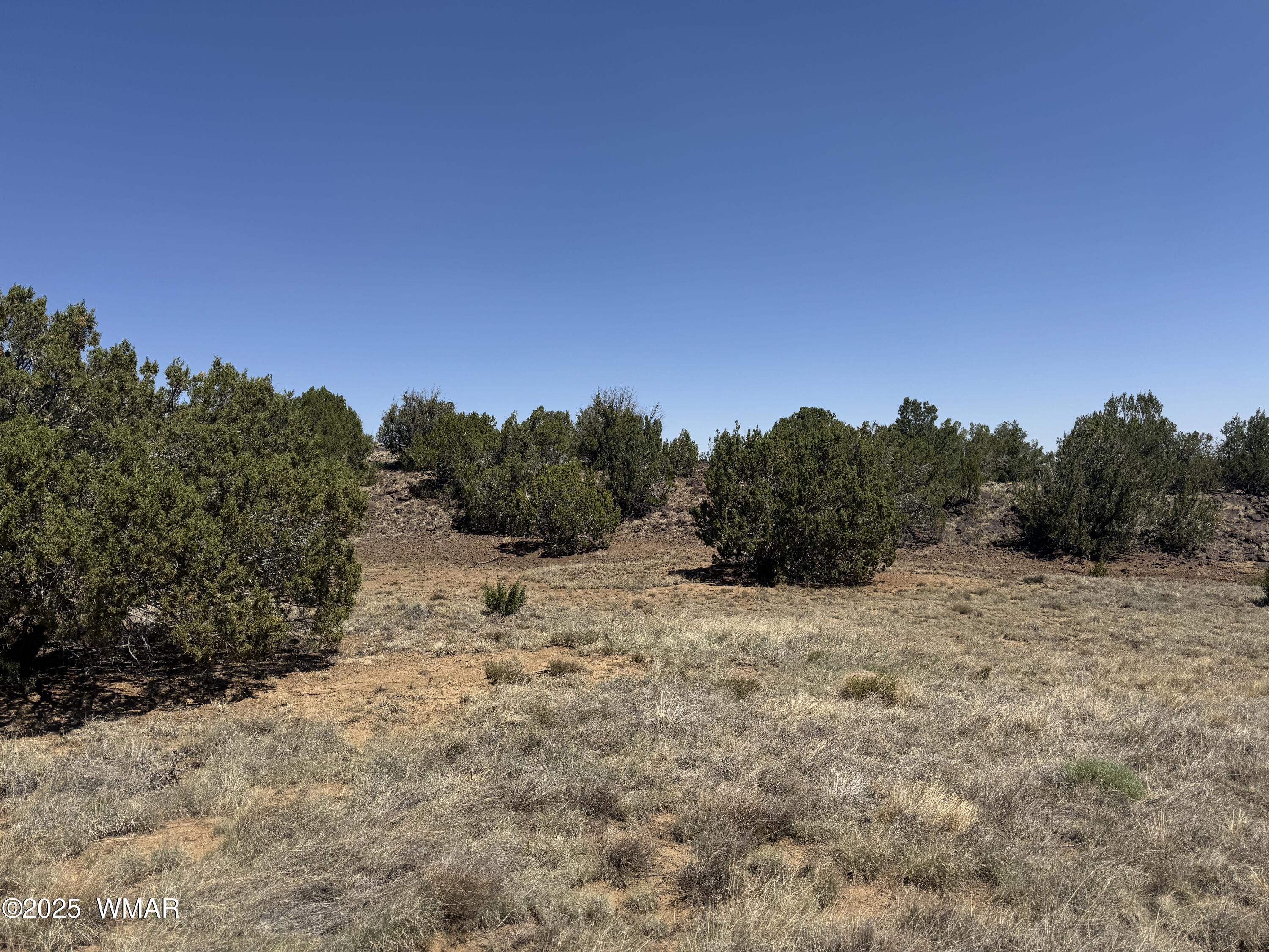5 County Road Concho, AZ 85924 - Photo 6 of 15 a view of a large mountain with a outdoor space