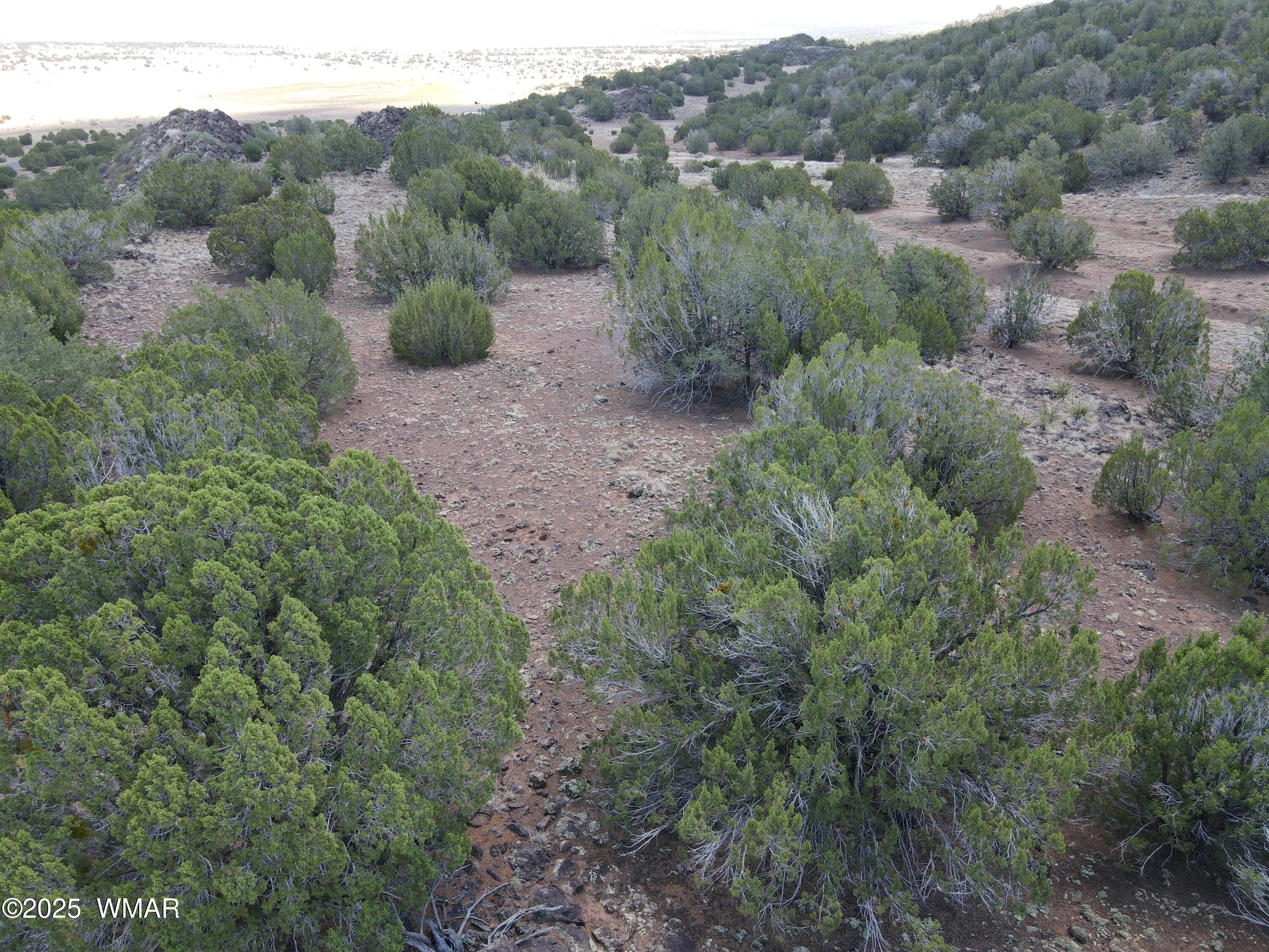 5 County Road Concho, AZ 85924 - Photo 7 of 15 an aerial view of a forest with houses