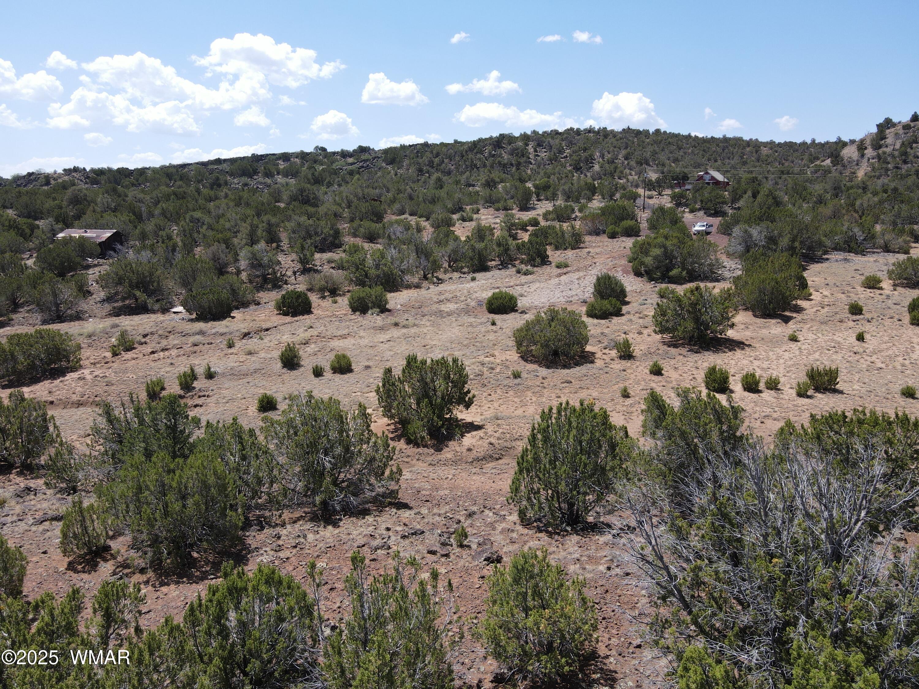 5 County Road Concho, AZ 85924 - Photo 8 of 15 a view of a lot of trees and houses