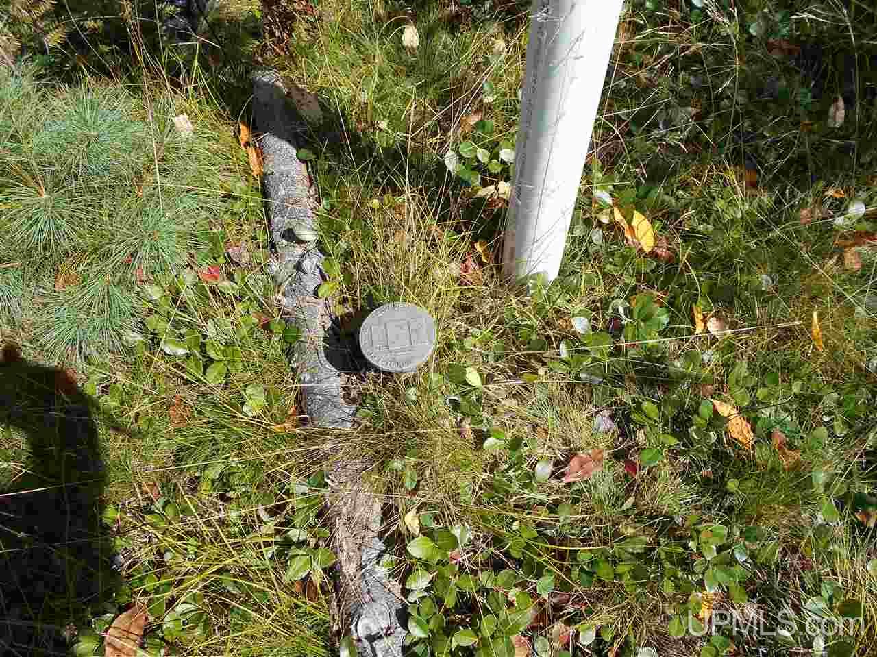 968 South Cemetery Road Cooks, MI 49817 - Photo 19 of 28