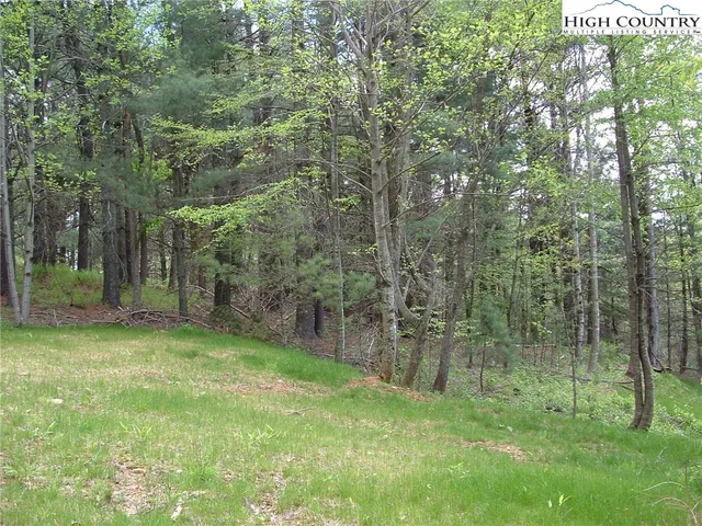 $24,930 | Lot 9 Talon Drive, Boone, NC 28607