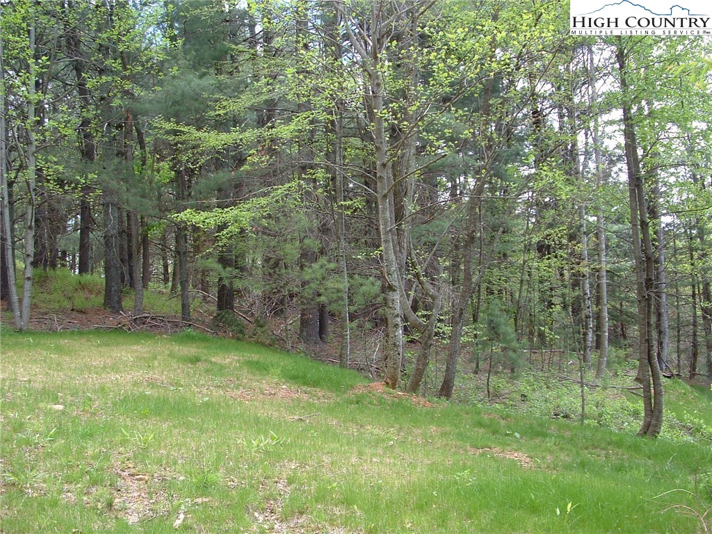 Lot 9 Talon Drive Boone, NC 28607 - Photo 2 of 2