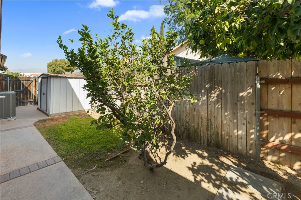 1157 West Orchard Street Rialto, CA 92376 - Photo 32 of 38 a backyard of a house with lots of green space