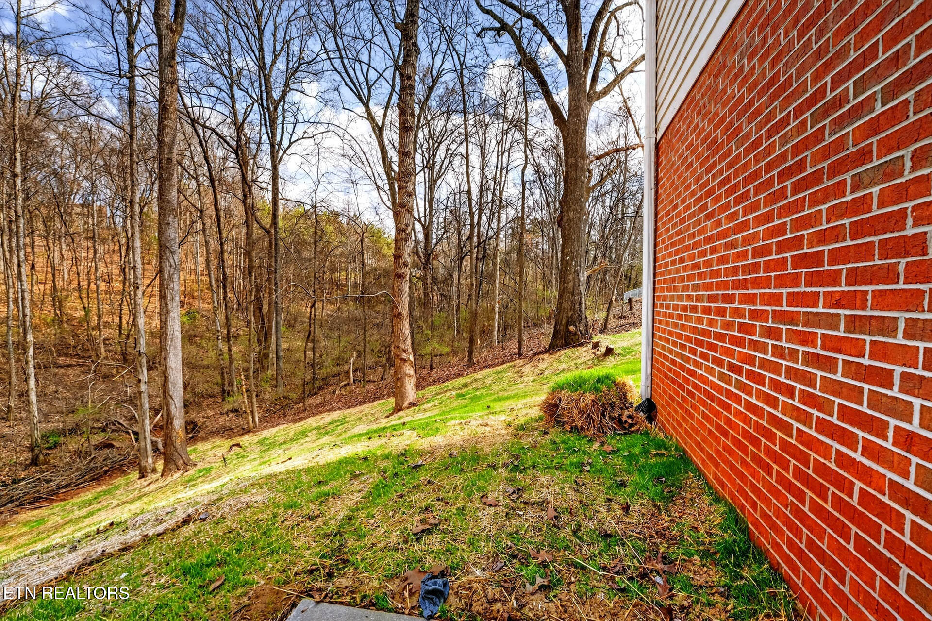 1050 Briar Court Talbott, TN 37877 - Photo 43 of 52 Briar Court-29