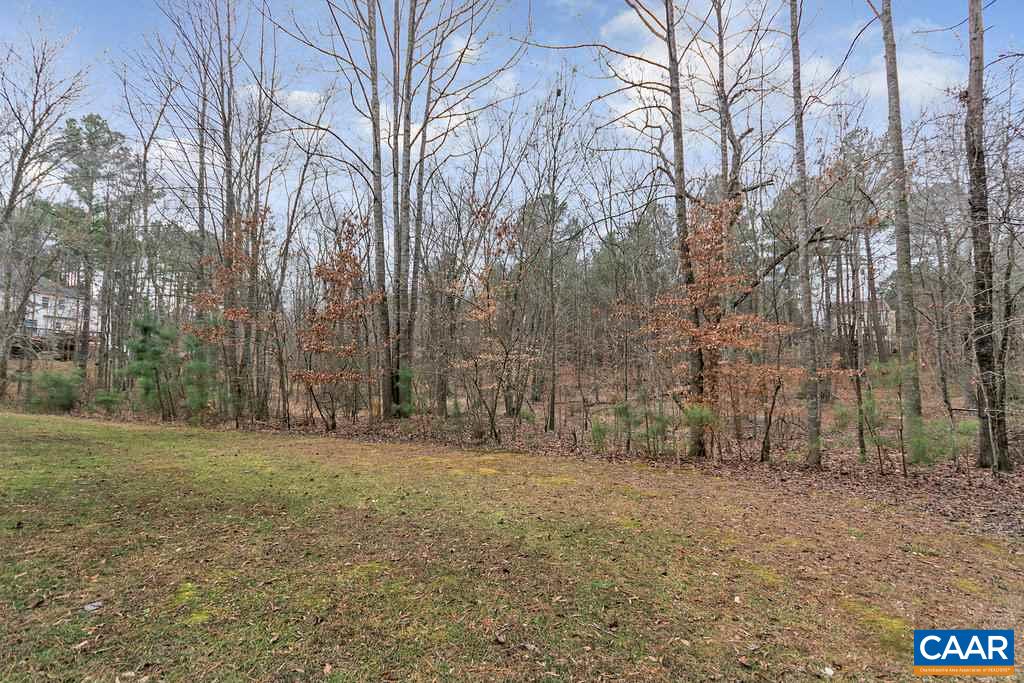 437 Willow Ridge Road Troy, VA 22974 - Photo 41 of 45 a big yard with large trees