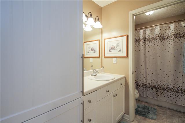 3612 Mahlon Moore Road Spring Hill, TN 37174 - Photo 17 of 20 a bathroom with a sink a mirror and a shower