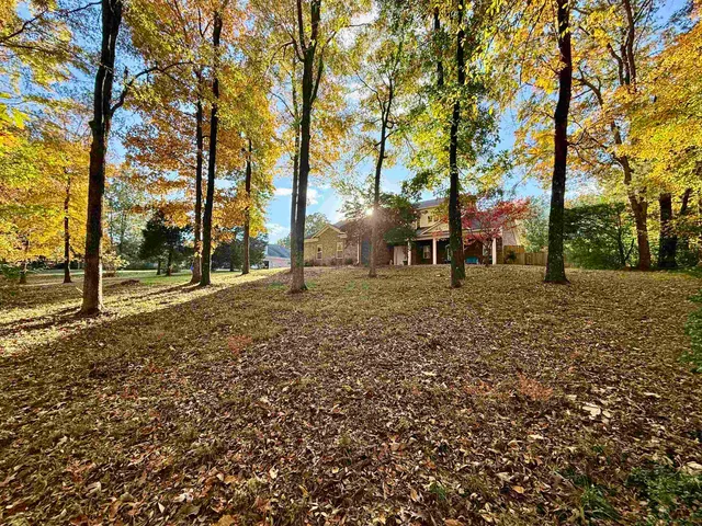 a view of a outdoor space with trees