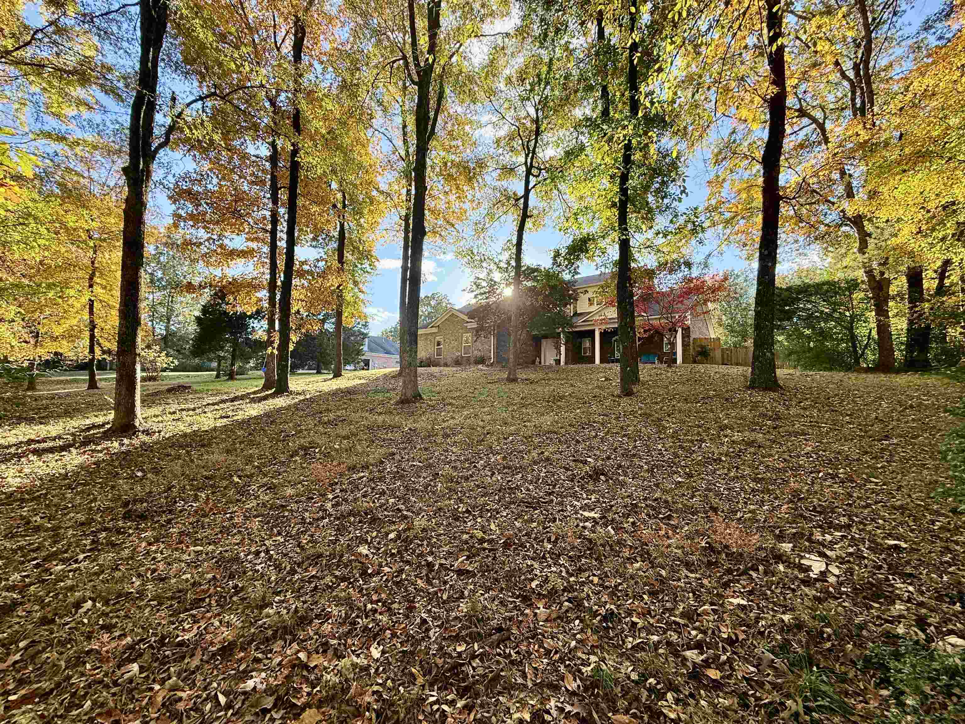 2620 Tomlin Road Somerville, TN 38068 - Photo 2 of 40 a view of a outdoor space with trees