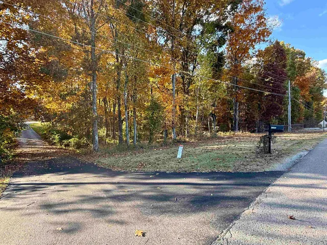 a view of park space with trees